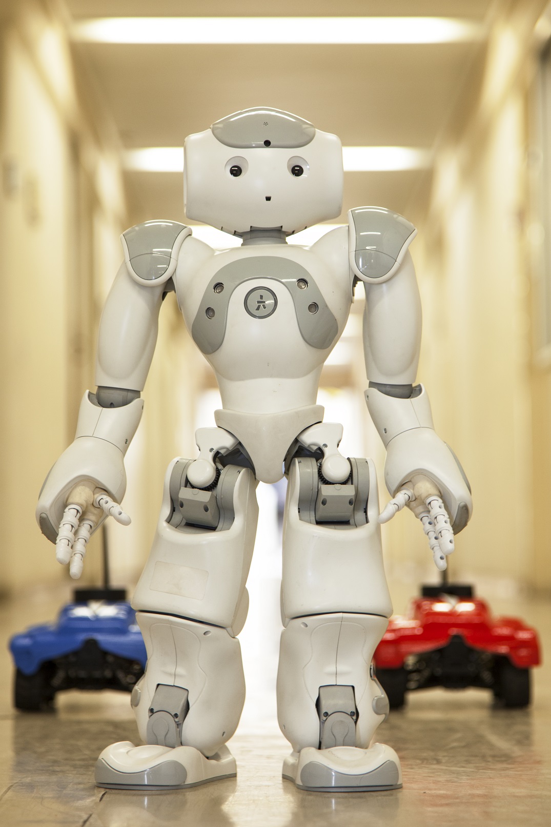 Waikei-55_IntelligentSystemsKraus