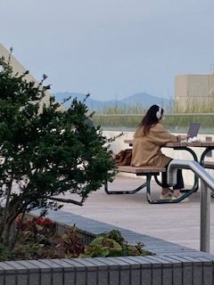 Photo of HKUST Library Garden