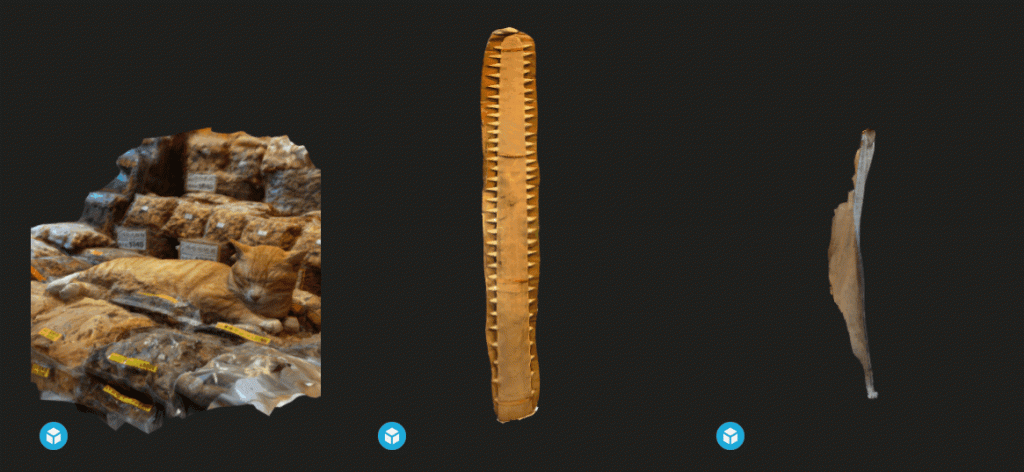 3D objects of the shop cat and dried fish fins at Kam Shing Dried Seafood Shop (金城海味)