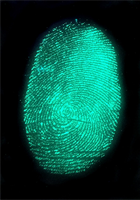 Fluorescent image of latent fingerprint stained with AIE