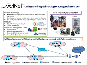The structure and application of LAviNet
