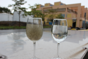 Before and after SANI treatment