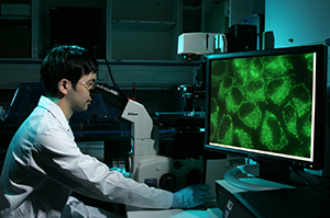 Undergrad engaging in research project.