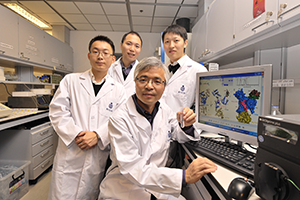 Prof Mingjie Zhang (front) and his research team