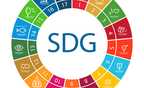 SDG