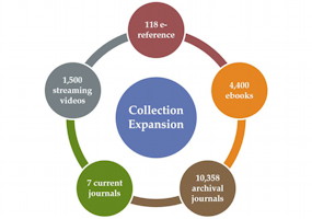 graphic showing the different materials purchased and their amounts in the collection expansion