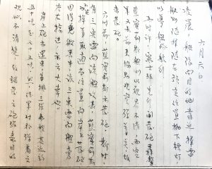 section of the original diary